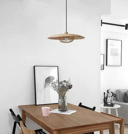 Kasa Drop light Pendant Lamp