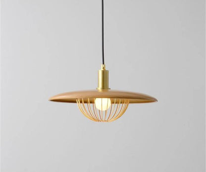 Kasa Drop light Pendant Lamp