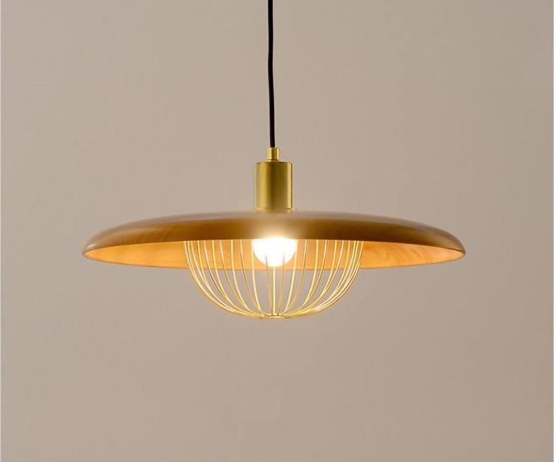 Kasa Drop light Pendant Lamp