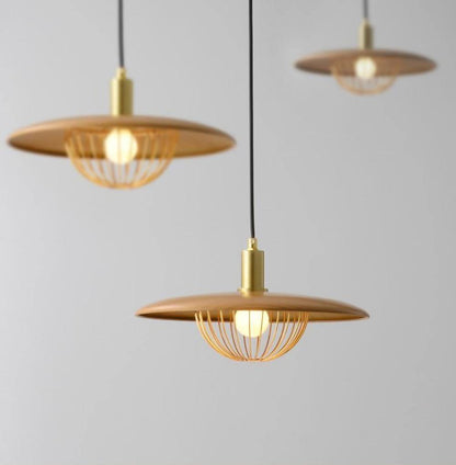 Kasa Drop light Pendant Lamp