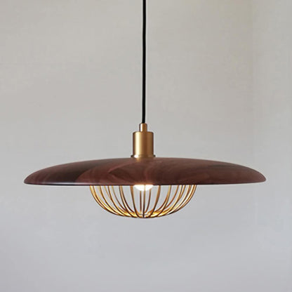 Kasa Drop light Pendant Lamp