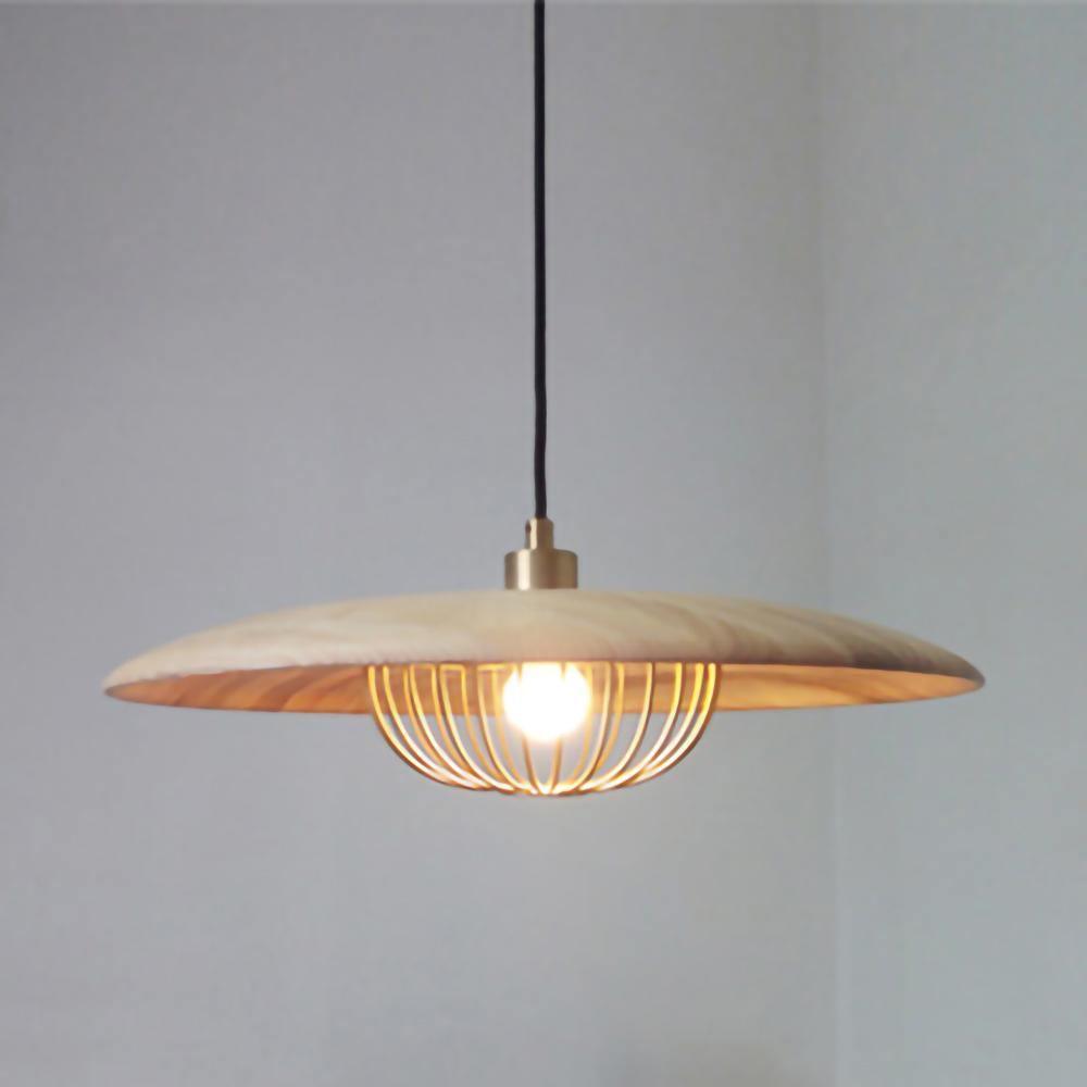 Kasa Drop light Pendant Lamp