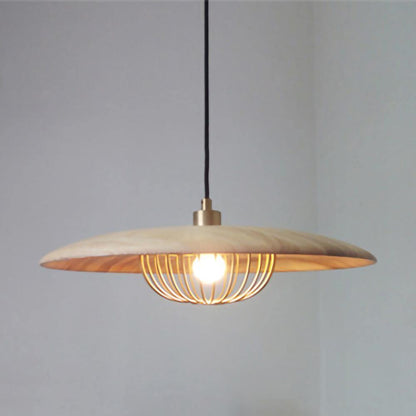 Kasa Drop light Pendant Lamp