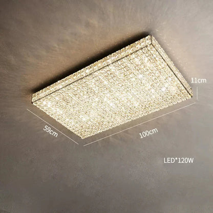 Bacci Clear Crystal Light Fixture