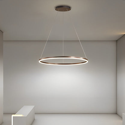 16'' Simple Circle Single Pendant Light Acrylic Pendant Lighting