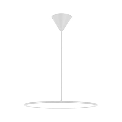 Minimalist Modern Circle Linear Industrial Pendant Lighting