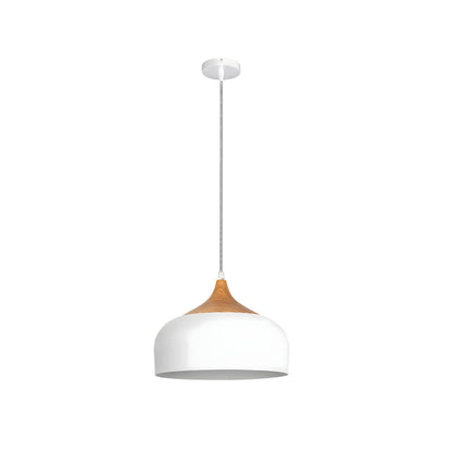 Dome Pendant Light with Wood Detail - Modern 1-Light Island Fixture