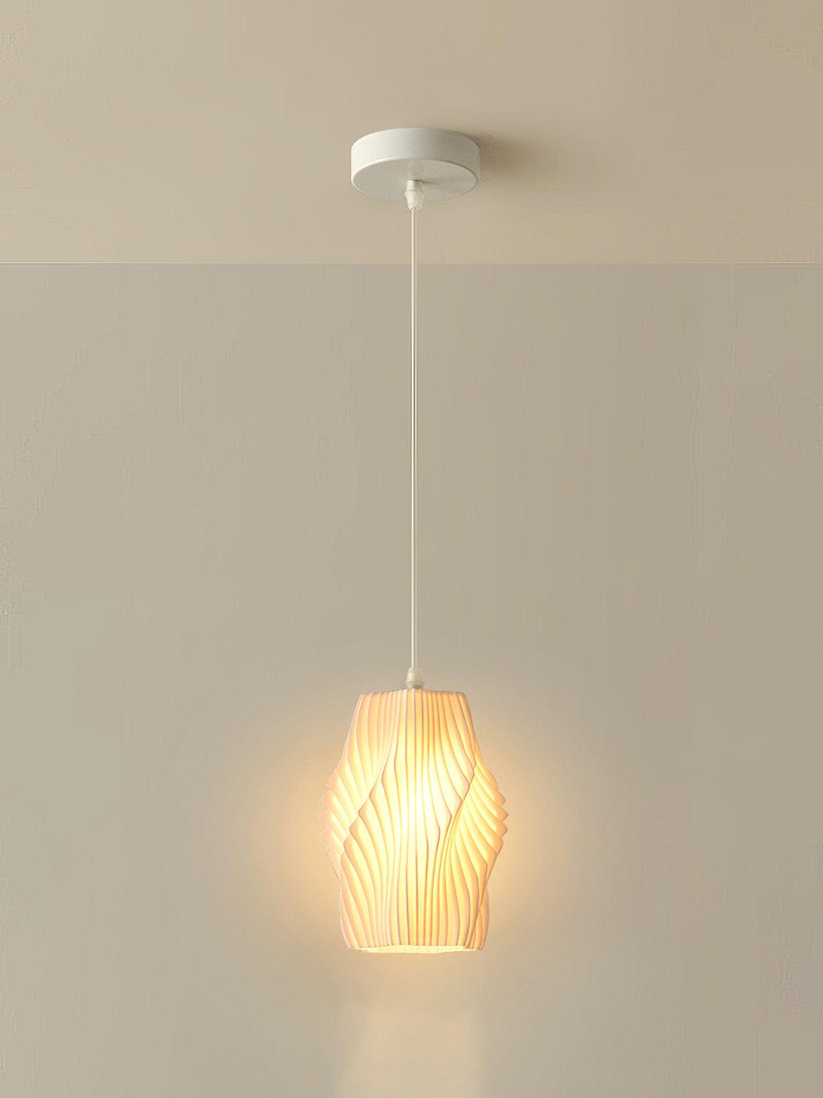 Printing Art Houselight Pendant Light