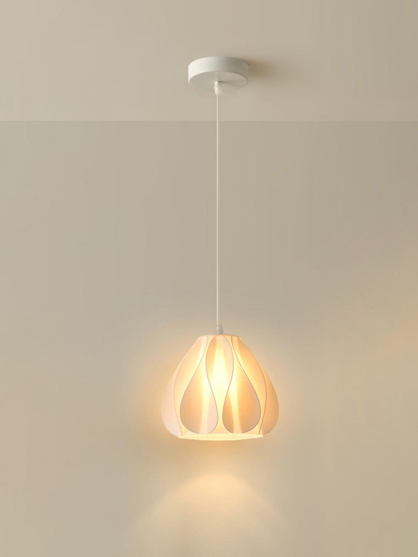 Printing Art Houselight Pendant Light