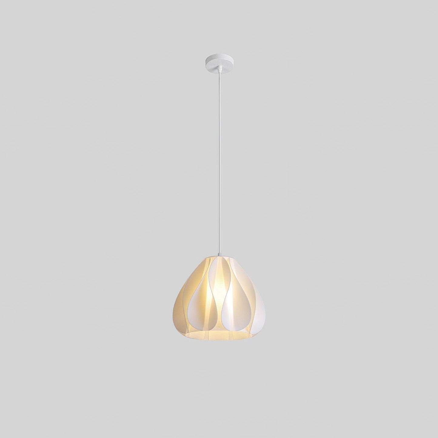 Printing Art Houselight Pendant Light