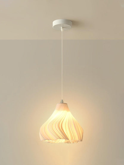 Printing Art Houselight Pendant Light