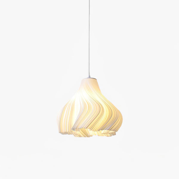 Printing Art Houselight Pendant Light