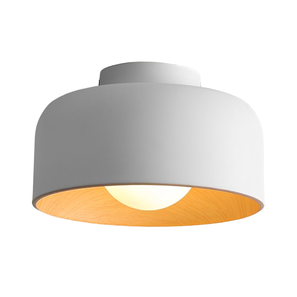 Minimalist Bowl-shaped LED Nordic Ceiling Light Flush Mount Lighting