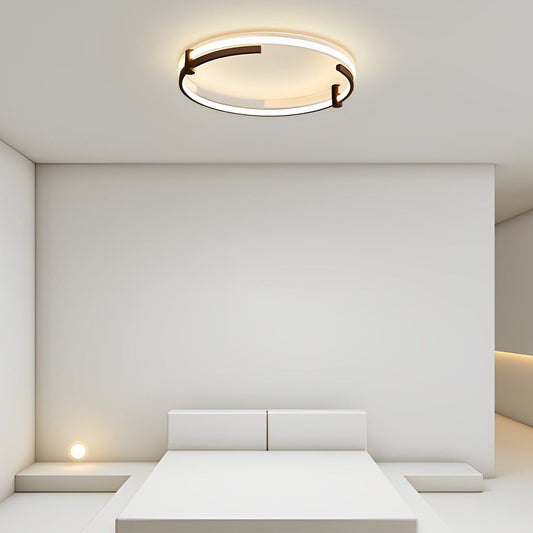 Round Creative LED Stepless Dimming with Remote Modern Ceiling Lights