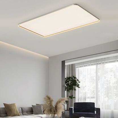 Brushed Gray Aluminum LED Ceiling Light