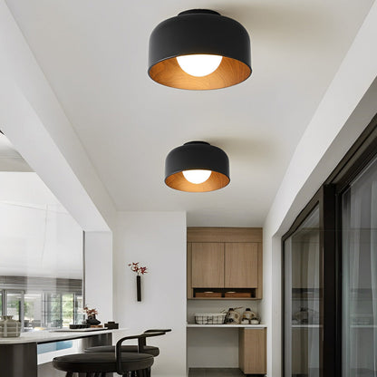 Minimalist Bowl-shaped LED Nordic Ceiling Light Flush Mount Lighting