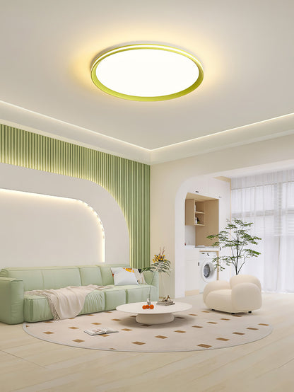 Acrylic Circular LED Overhead light Ceiling Light