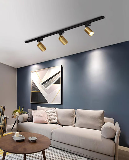 Adjustable Spotlight Track Ceiling-mounted light Ceiling Light