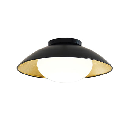 Adrienne Ceiling fixture Ceiling Lamp