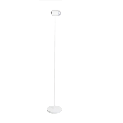 Ambient Accent Lamp Floor Lamp