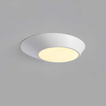 Angled Flush mount light Ceiling Light