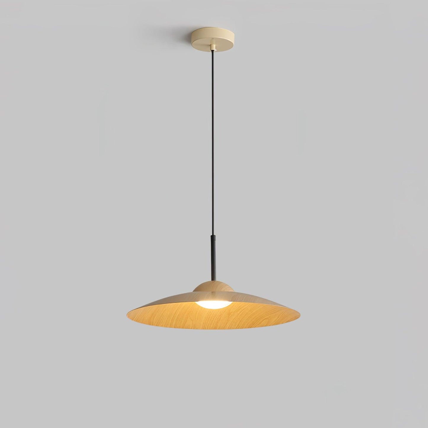 Arcadian Droplight Pendant Light