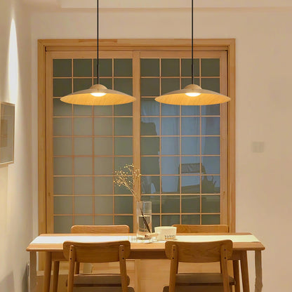 Arcadian Droplight Pendant Light