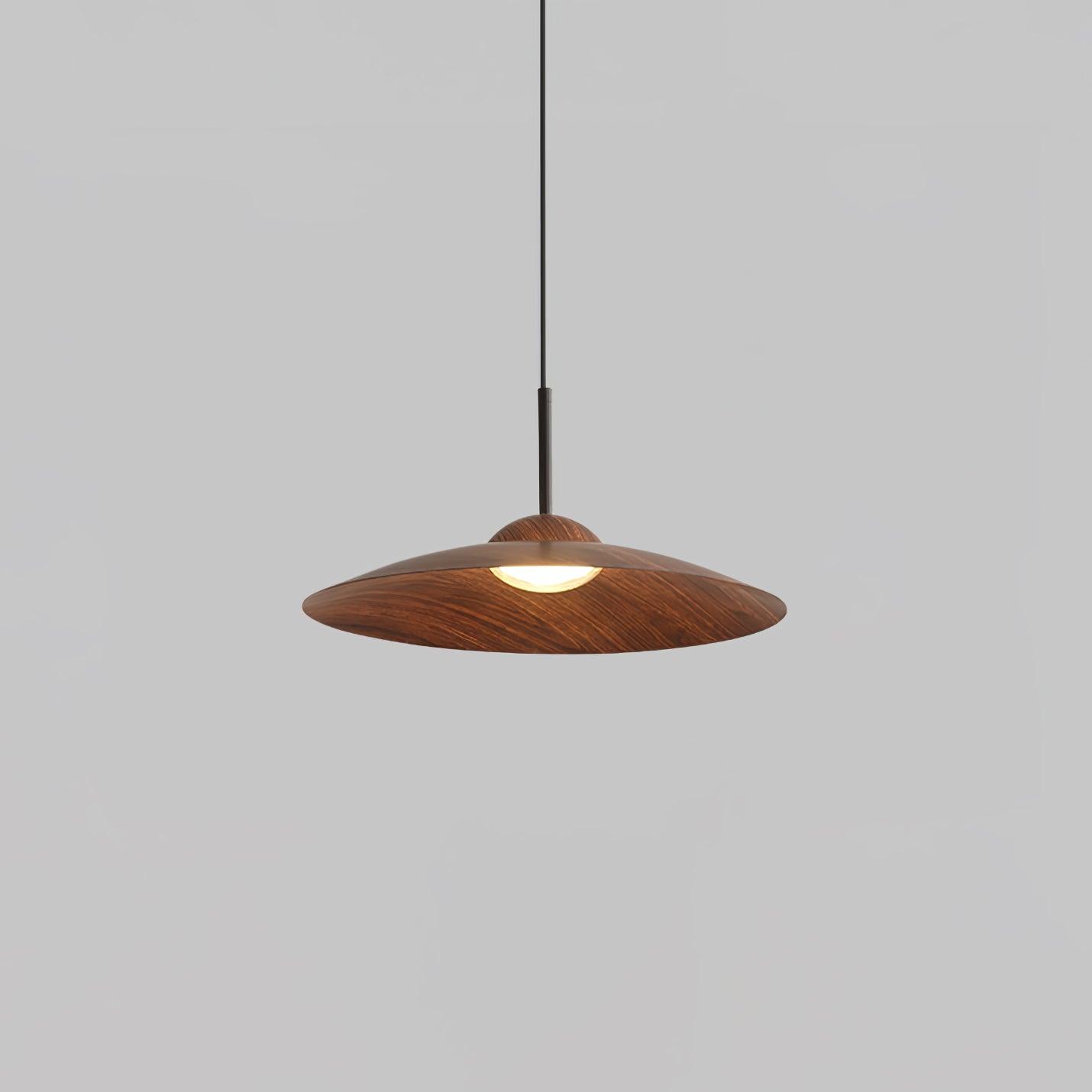 Arcadian Droplight Pendant Light