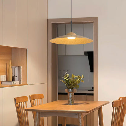 Arcadian Droplight Pendant Light