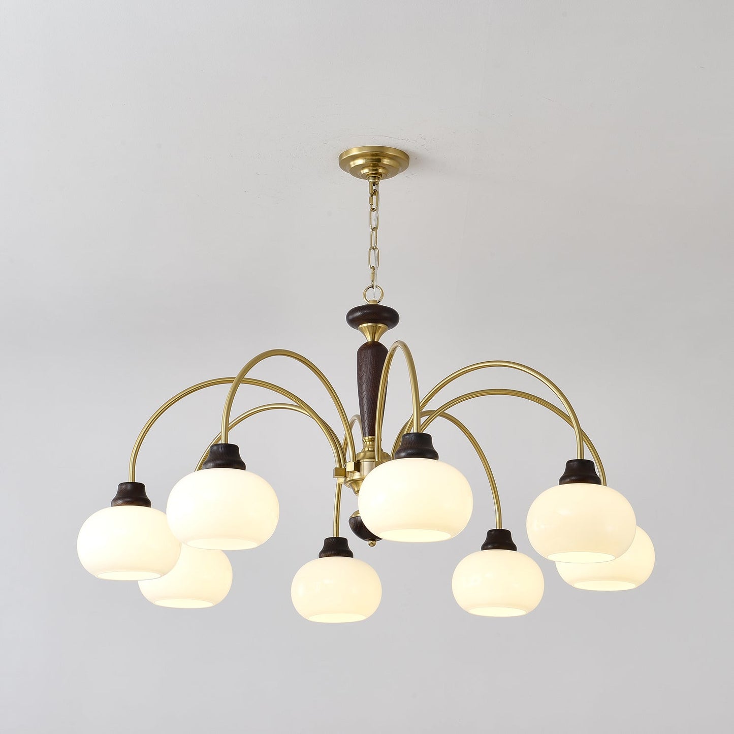 Arched Globe Pendant light Chandelier