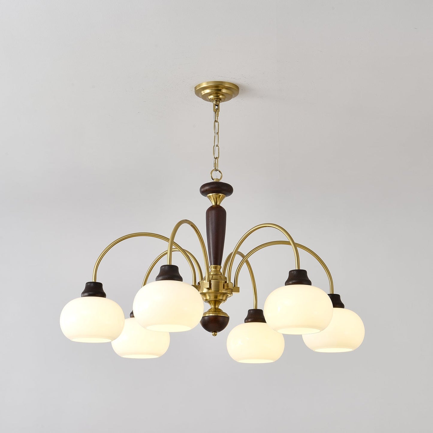 Arched Globe Pendant light Chandelier