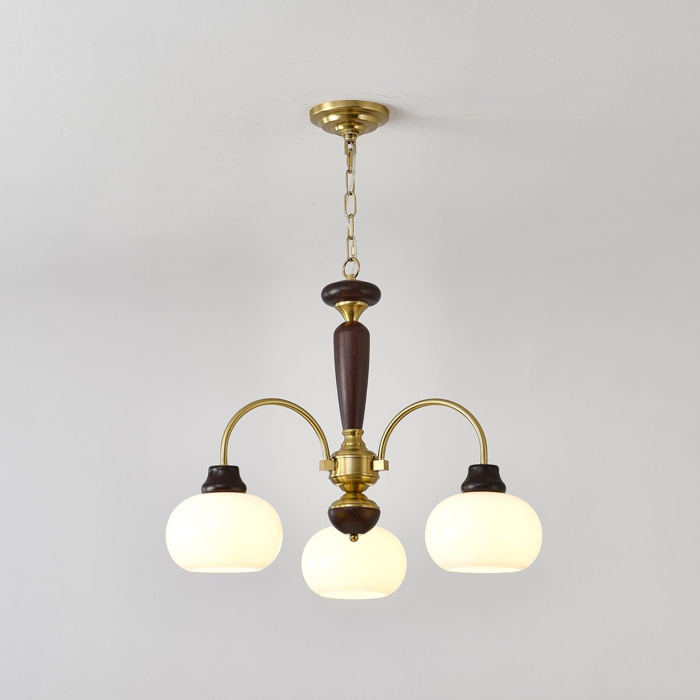 Arched Globe Pendant light Chandelier