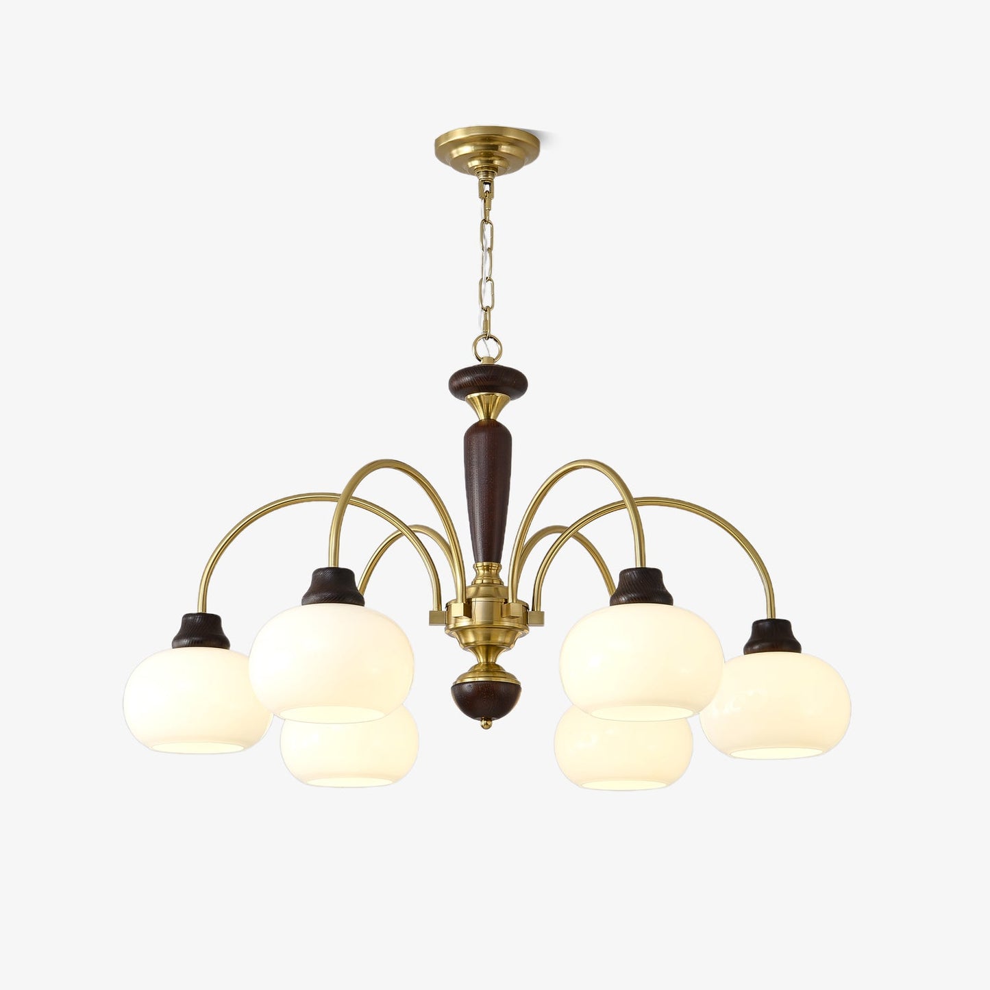 Arched Globe Pendant light Chandelier