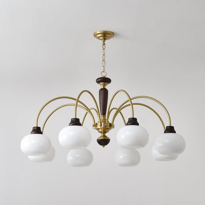 Arched Globe Pendant light Chandelier