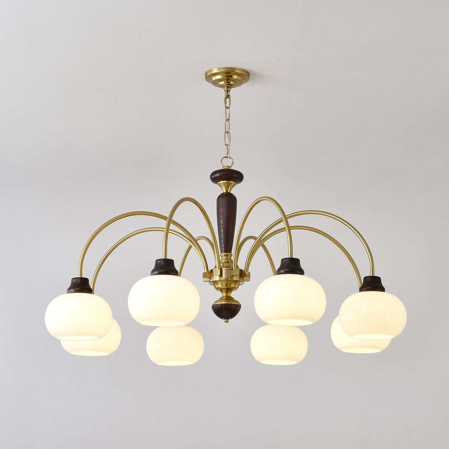 Arched Globe Pendant light Chandelier