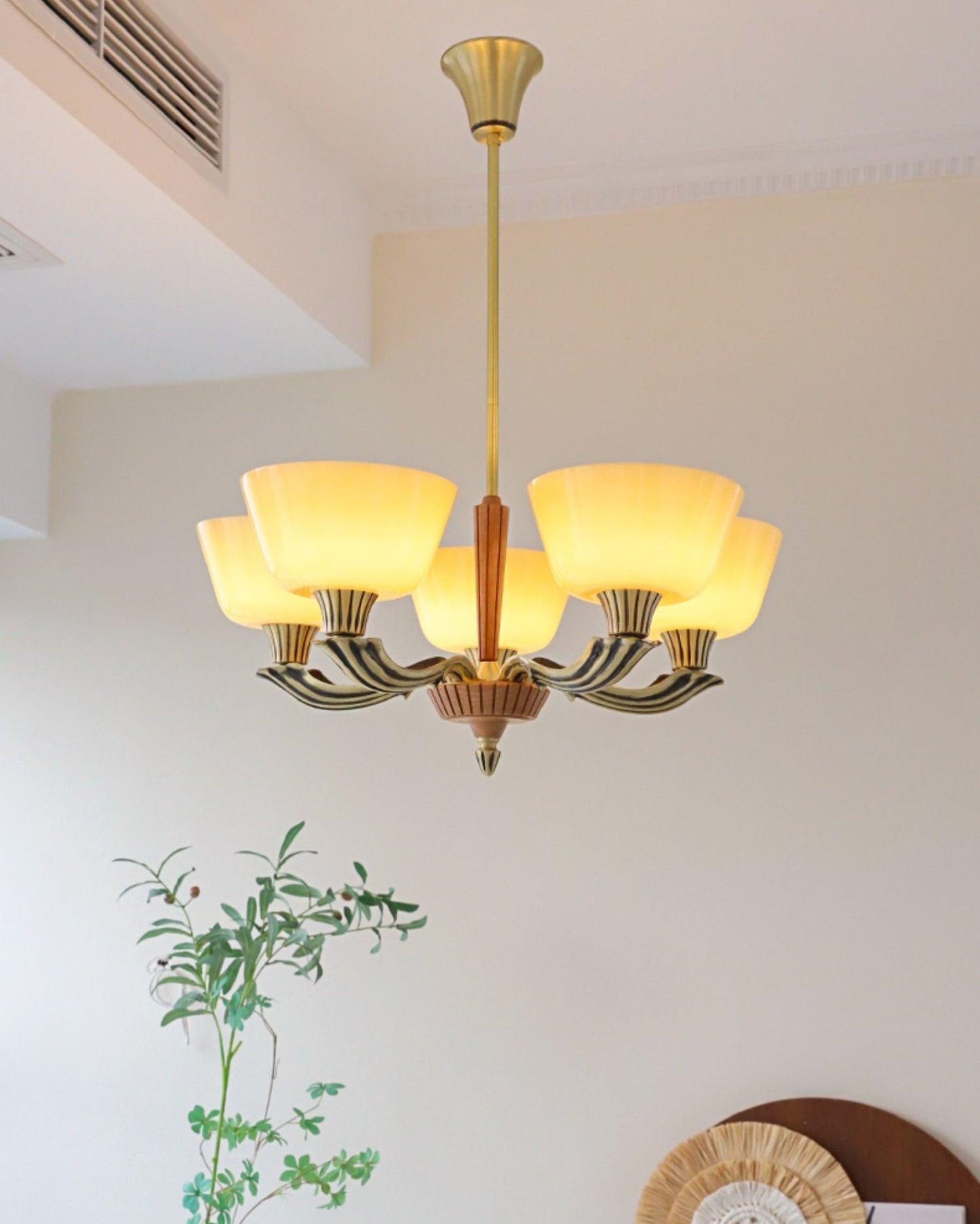 Ascher Pendant light Chandelier