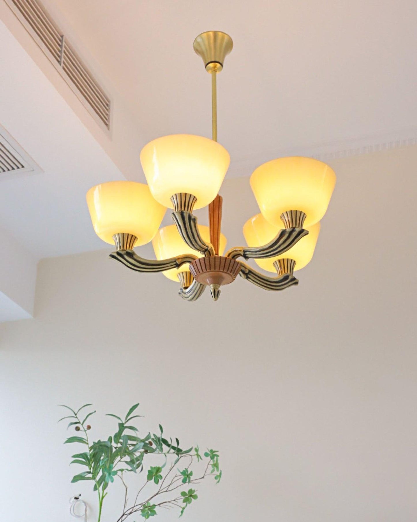 Ascher Pendant light Chandelier