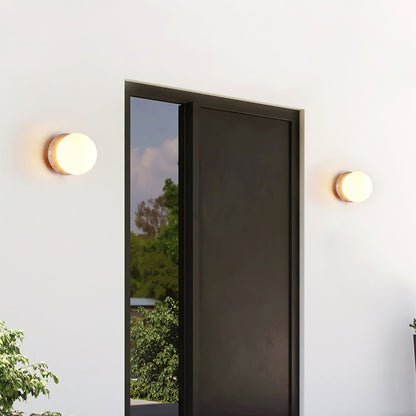 Asteroid Sconce Wall Light