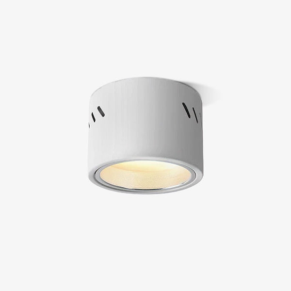 Aven Ceiling-mounted light Spotlight