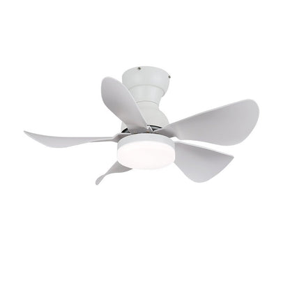 Small Arilia 29" Overhead light Ceiling Fan Light