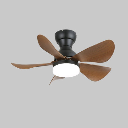 Small Arilia 29" Overhead light Ceiling Fan Light