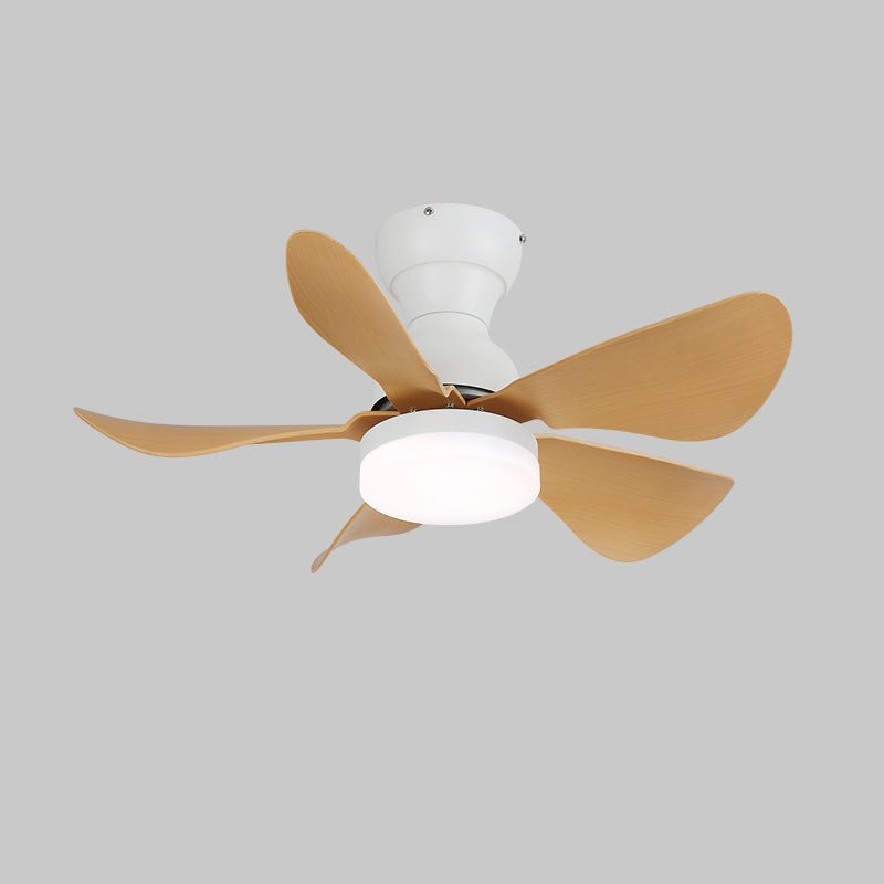 Small Arilia 29" Overhead light Ceiling Fan Light