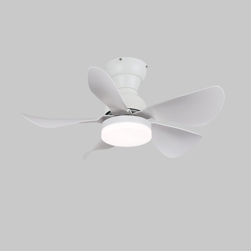 Small Arilia 29" Overhead light Ceiling Fan Light