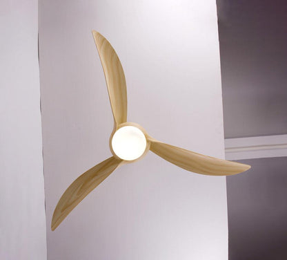 Traditional Ceiling fixture Ceiling Fan Light