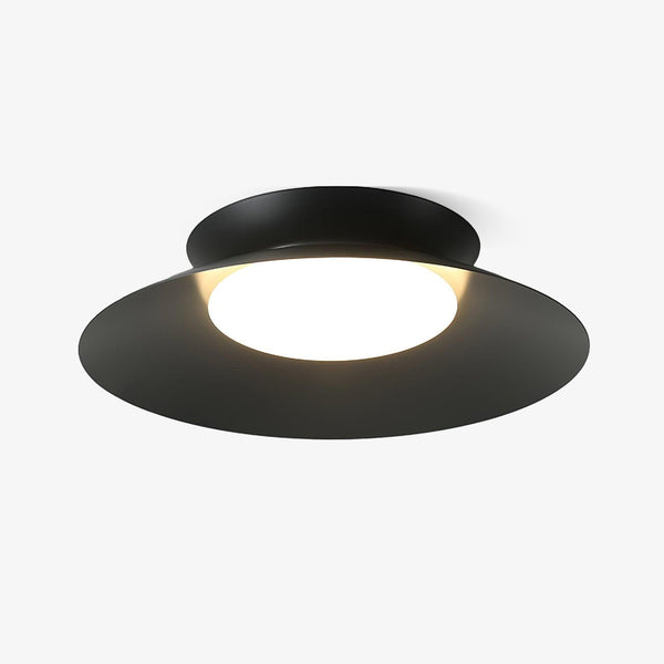 Cetra Flush mount light Ceiling Light