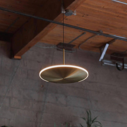 Chrona Dish Droplight Pendant Light