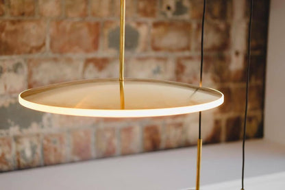 Chrona Dish Droplight Pendant Light