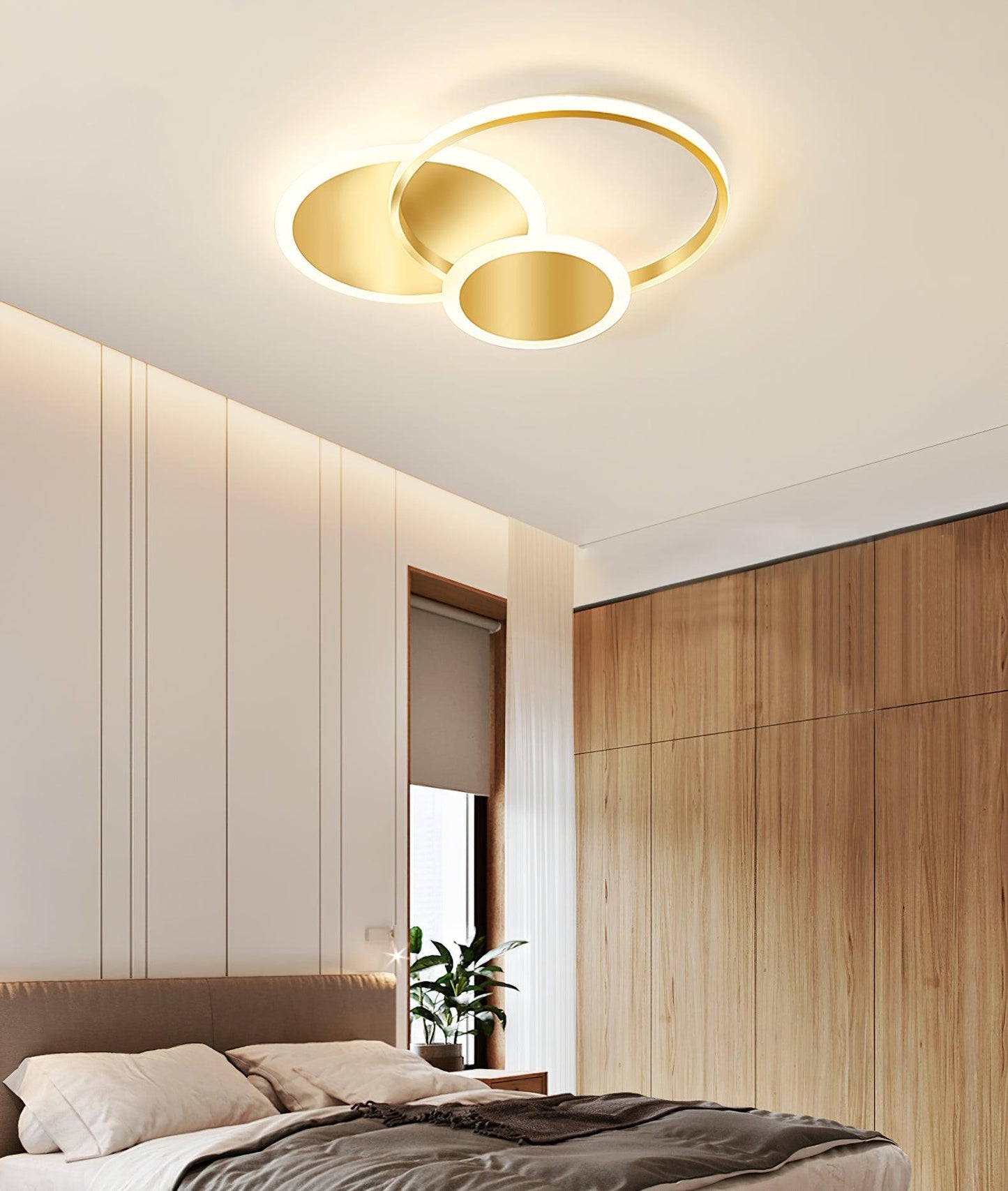 Circles LED Ceiling-mounted light Ceiling Light