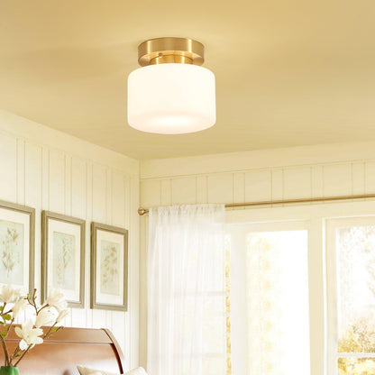 Clinio Flush Mount Overhead light Ceiling Light