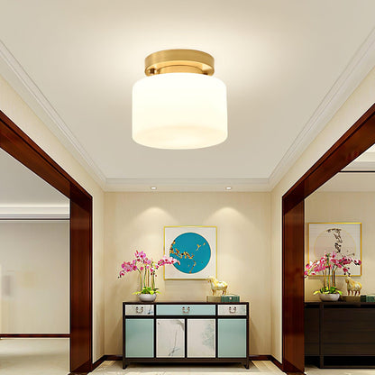 Clinio Flush Mount Overhead light Ceiling Light